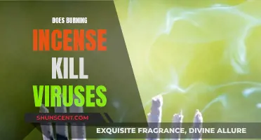 Incense and Viruses: Can Burning Incense Kill Them?
