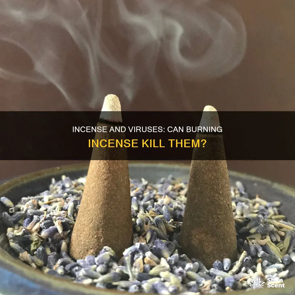does burning incense kill viruses