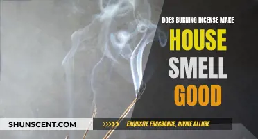 Incense Burning: A Quick Fix for a Good-Smelling Home?