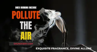 Incense Burning: Air Pollutant or Pleasant Fragrance?