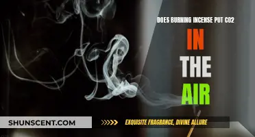 Incense Burning: CO2 Emitter or Safe Practice?