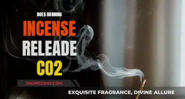 Incense Burning: CO2 Emitter or Safe Practice?