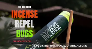 Incense and Insects: Burning Questions Answered
