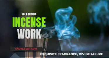 Incense Burning: Does It Work or Is It Just Smoke?