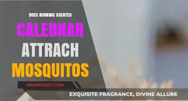 Does Burning Scented Candles Attract Mosquitoes? The Truth Revealed
