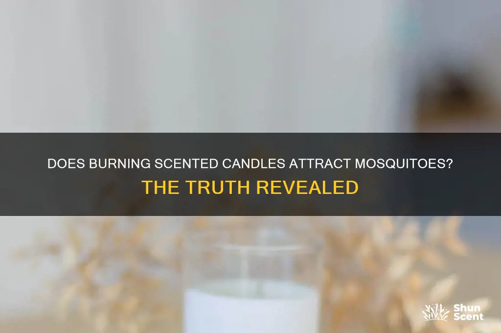 does burning scented calednar attrach mosquitos