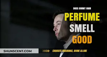 Burnt Hair Perfume: Does it Smell Good?