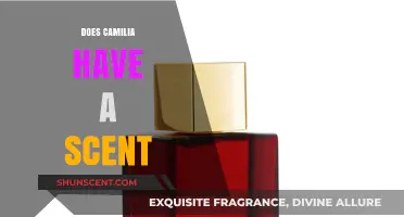 Does Camilia Have a Scent? Unveiling the Fragrance Mystery