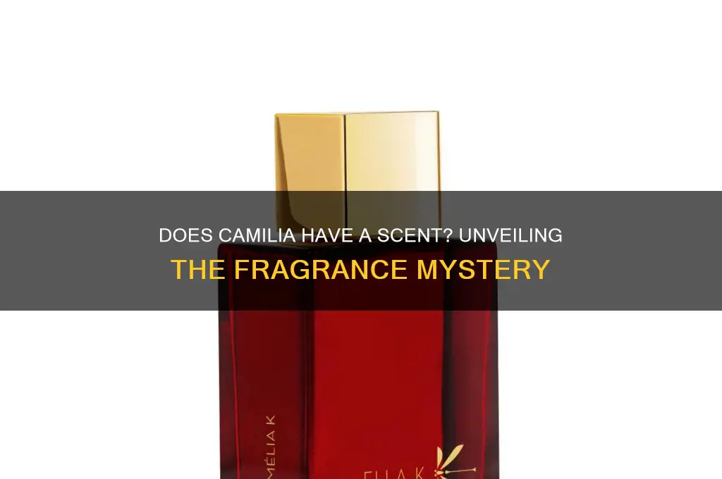 does camilia have a scent