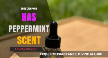 Does Camphor Smell Like Peppermint? Unraveling the Aromatic Confusion
