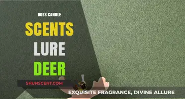 Can Candle Scents Attract Deer? Uncovering the Truth for Hunters