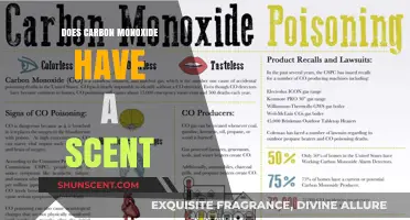 Does Carbon Monoxide Have a Scent? Uncovering the Silent Killer's Odorless Truth