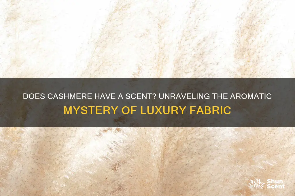 does cashmere have a scent