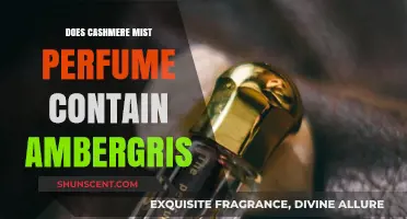 Cashmere Mist Perfume: Does It Contain Ambergris?