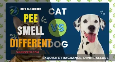 Exploring the Unique Aromas: Do Cat and Dog Pee Smell Different?
