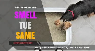 The Great Debate: Can You Tell the Difference Between Cat and Dog Poop?