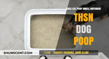 The Scoop on Poop: Unraveling the Mysteries of Feline and Canine Scents