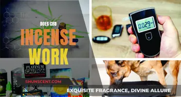 CBD Incense: Effective or Just Smoke and Mirrors?