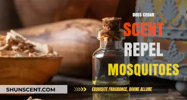 Cedar Scent: Effective Mosquito Repellent or Just a Myth?