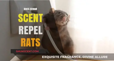 Cedar Scent as a Natural Rat Repellent: Fact or Fiction?