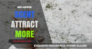 Does Centipede Scent Attract More Predators or Prey in Ecosystems?