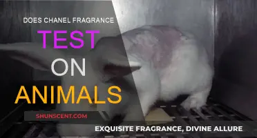 Chanel's Animal Testing: Fragrance Ethics Under the Spotlight