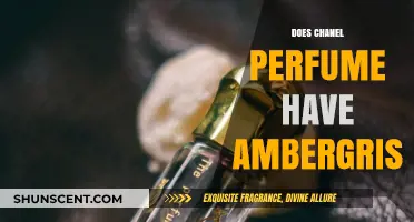 Chanel Perfume: Ambergris Notes and Their Allure