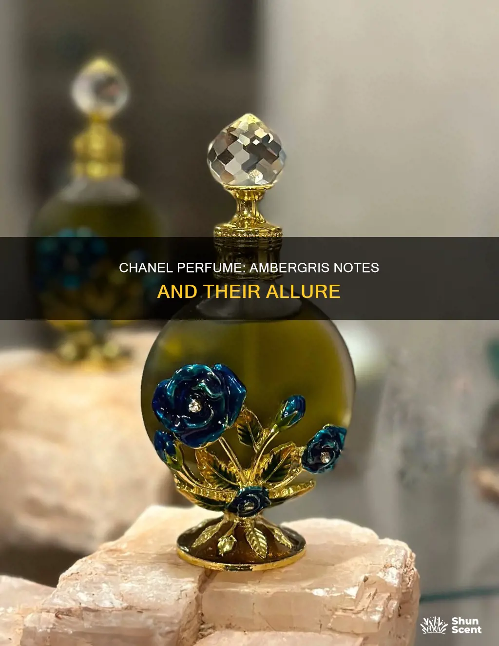 does chanel perfume have ambergris