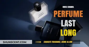 Chanel Perfume: How Long Does the Scent Really Last?