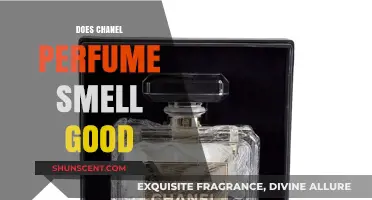 Chanel Perfume: Does it Smell Good?
