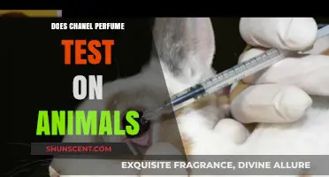 Chanel Perfume: Animal Testing or Cruelty-Free?