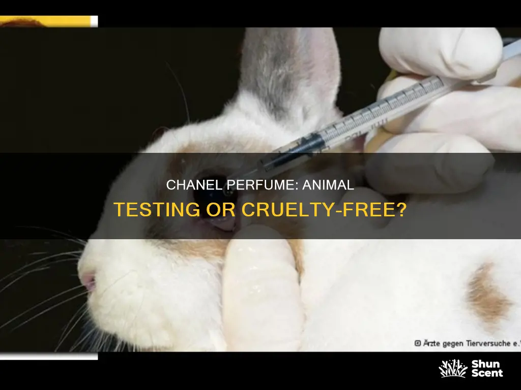 does chanel perfume test on animals