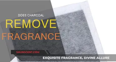 Charcoal's Fragrance Removal: How Effective Is It?