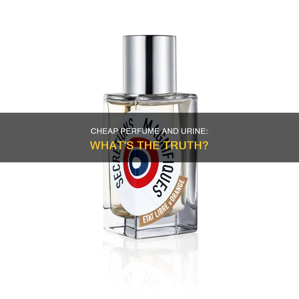 does cheap perfume contain urine