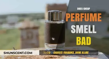 Cheap Perfume: Does the Price Reflect the Scent?