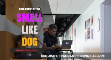 Exploring the Canine Connection: Does Chewy's Office Really Smell Like Dog?