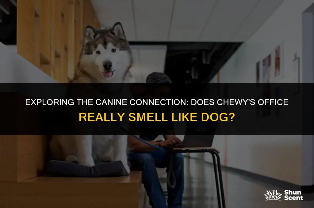does chewy office smell like dog