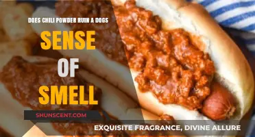 Can Chili Powder Really Ruin a Dog's Sense of Smell?