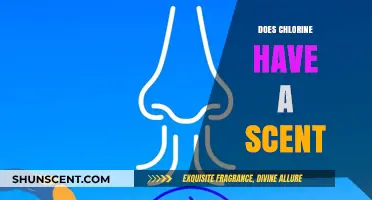 Does Chlorine Have a Scent? Unraveling the Myth and Science