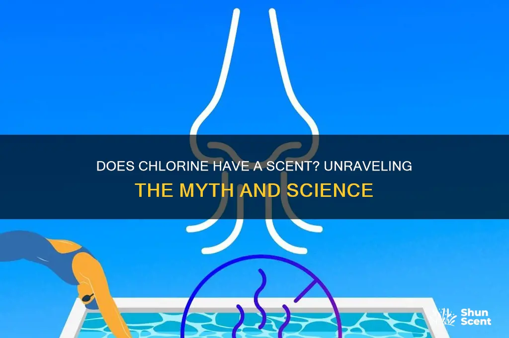 does chlorine have a scent