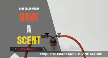 Unveiling the Truth: Does Chloroform Have a Detectable Scent?