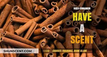The Aromatic Appeal: Does Cinnamon Truly Have a Distinct Scent?