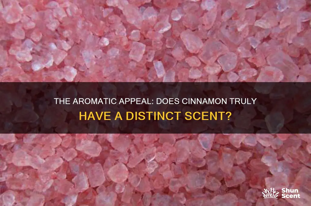 does cinnamon have a scent