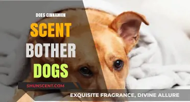 Cinnamon Scent and Dogs: Is It a Bother or Safe?