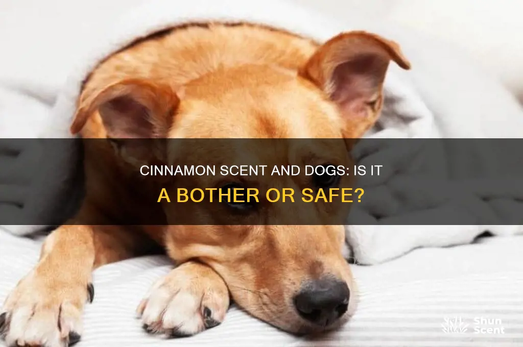does cinnamon scent bother dogs