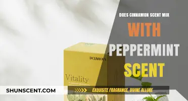 Cinnamon and Peppermint: A Perfect Scent Blend or Clash?