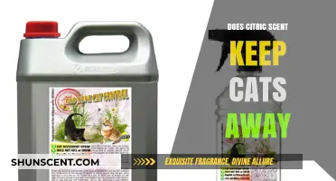 Citric Scent as a Cat Deterrent: Fact or Fiction?