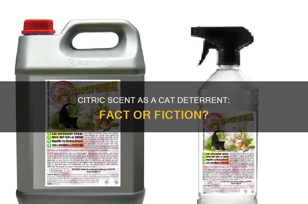 does citric scent keep cats away