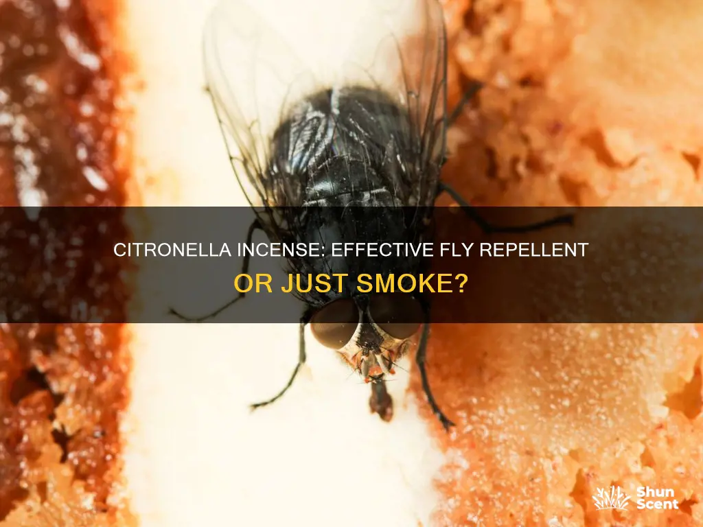 does citronella incense repel flies