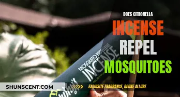 Citronella Incense: Effective Mosquito Repellent or Just Smoke?